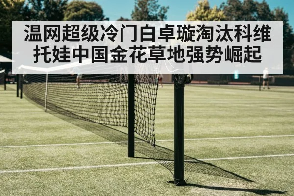 温网超级冷门白卓璇淘汰科维托娃中国金花草地强势崛起